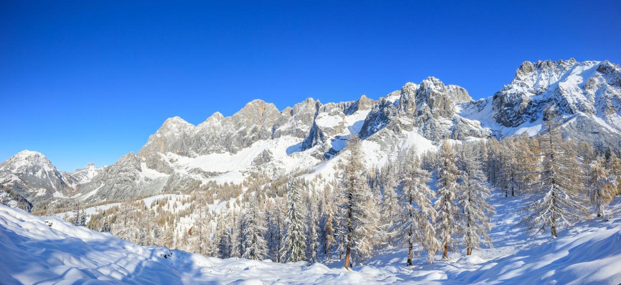 Landhaus Wieser Ramsau am Dachstein Luaran gambar